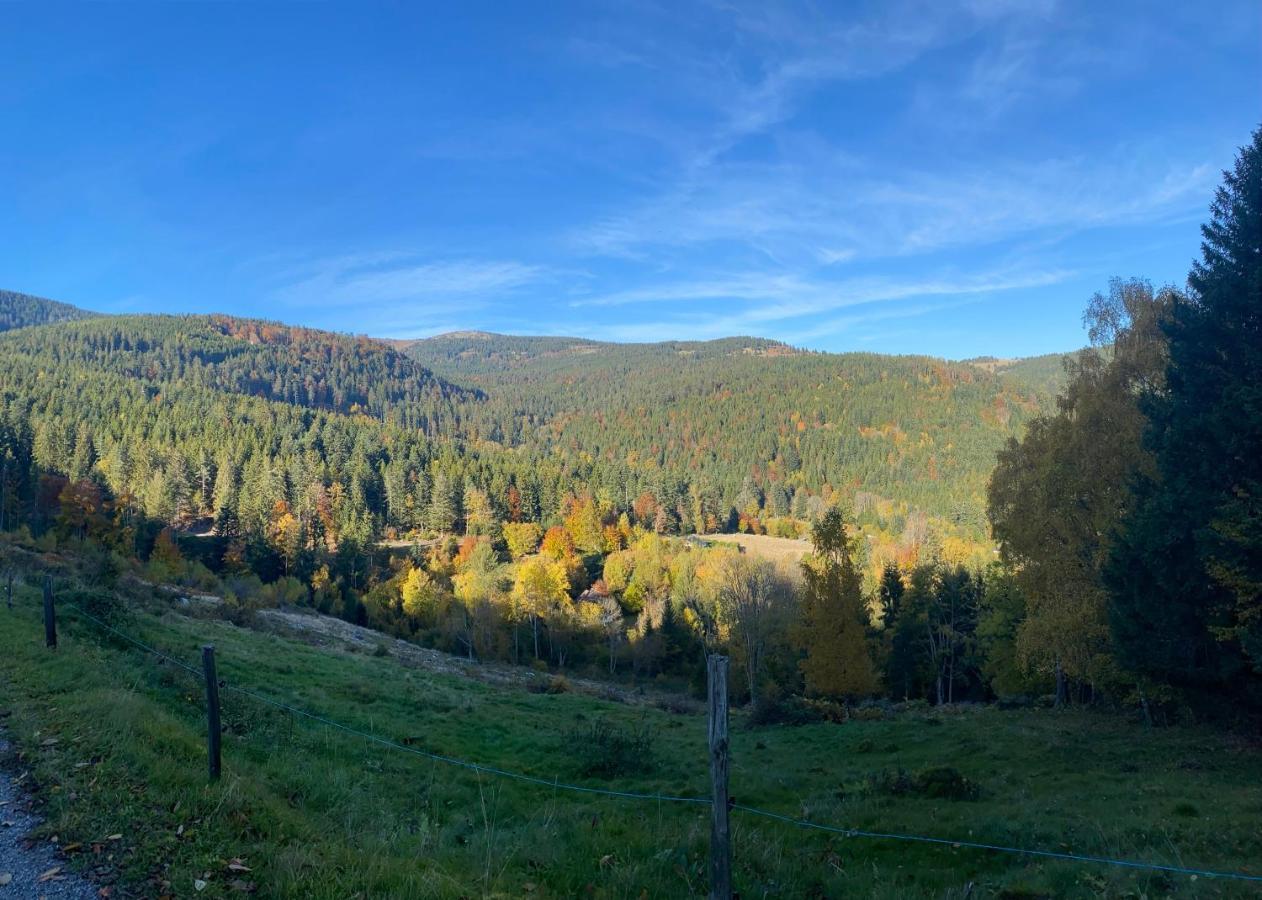 Le Chalet De Cathy Soultzeren Zewnętrze zdjęcie