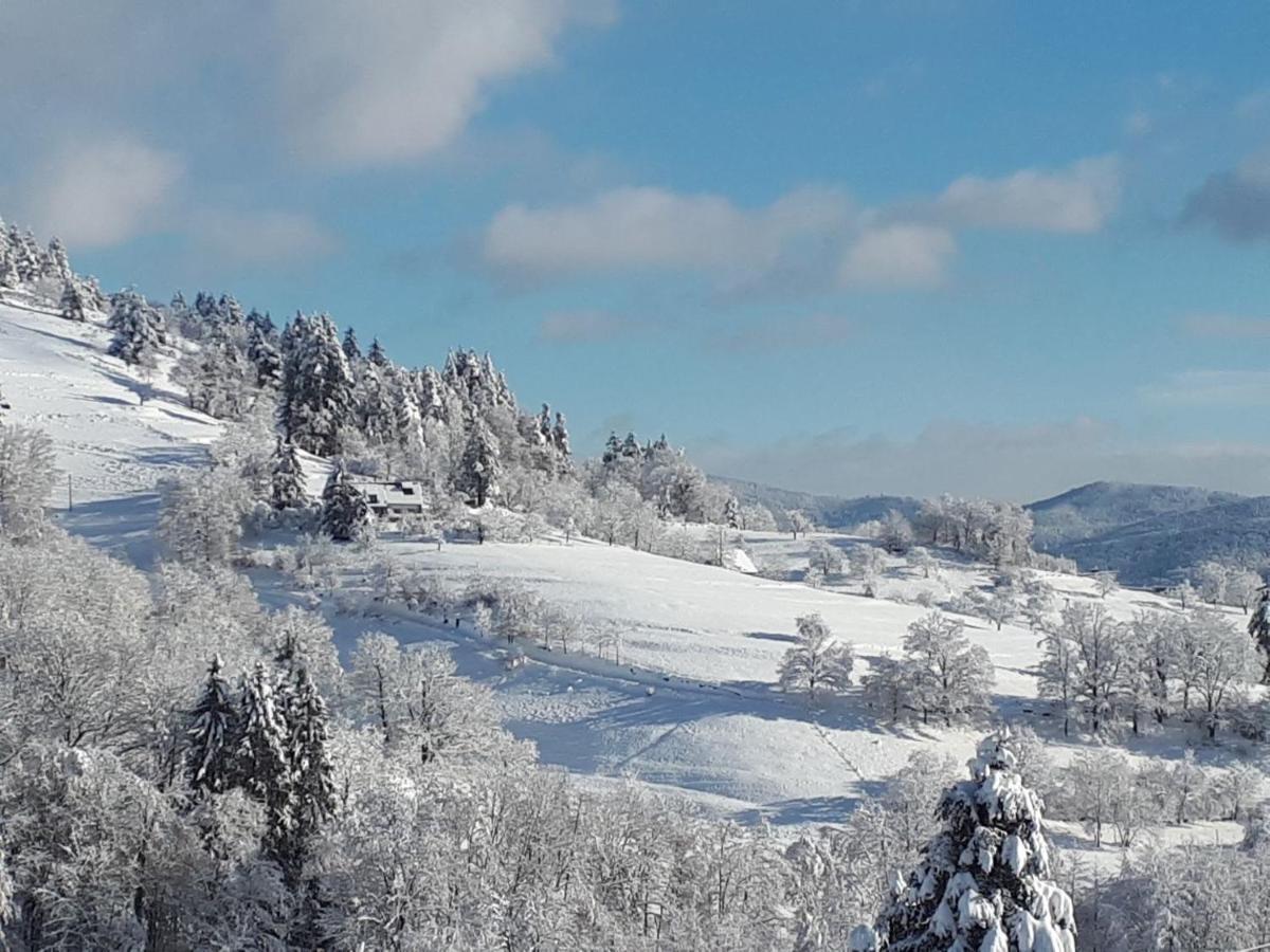 Le Chalet De Cathy Soultzeren Zewnętrze zdjęcie