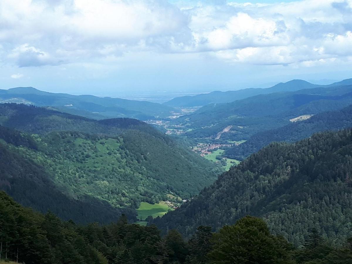 Le Chalet De Cathy Soultzeren Zewnętrze zdjęcie