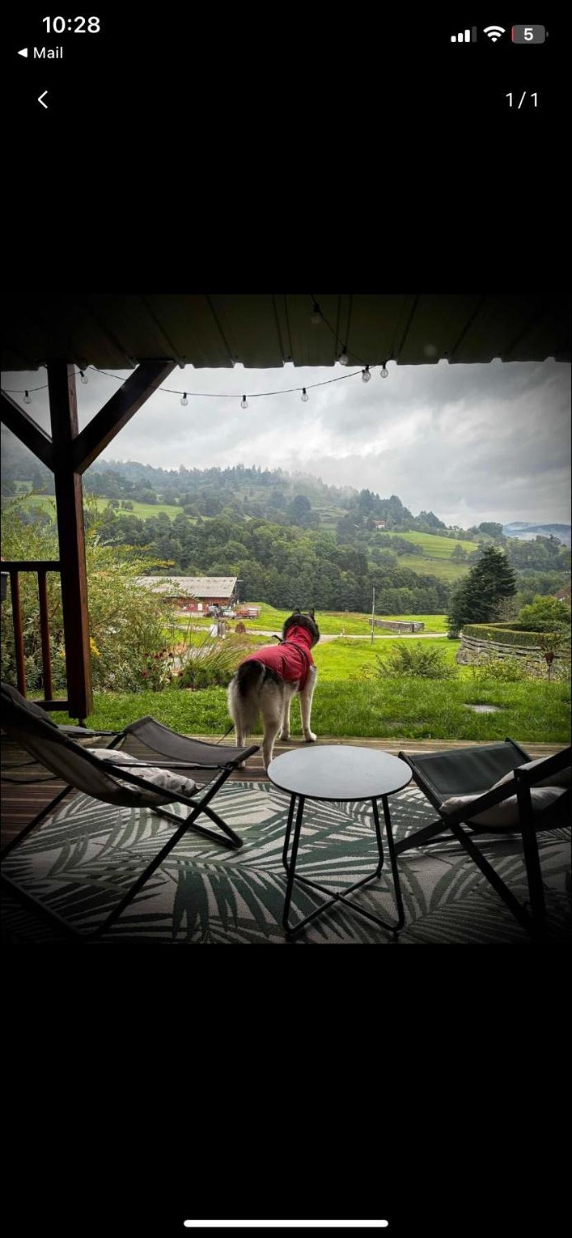 Le Chalet De Cathy Soultzeren Zewnętrze zdjęcie